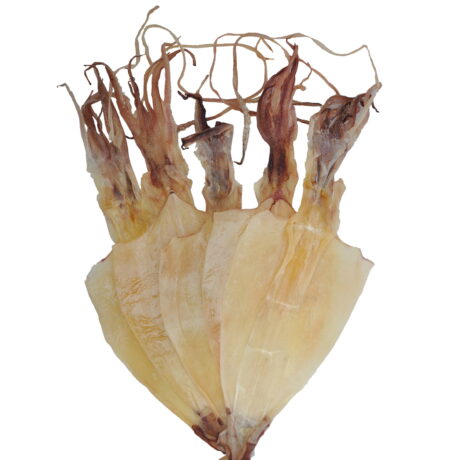 06329-06307-06308-Dried Skinless Squid S-M-L(1)